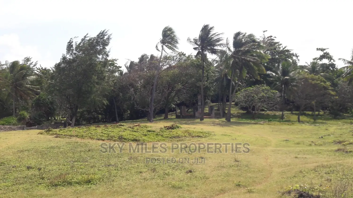 A Parcel of 4.5 Acres Beach Plot on Sale