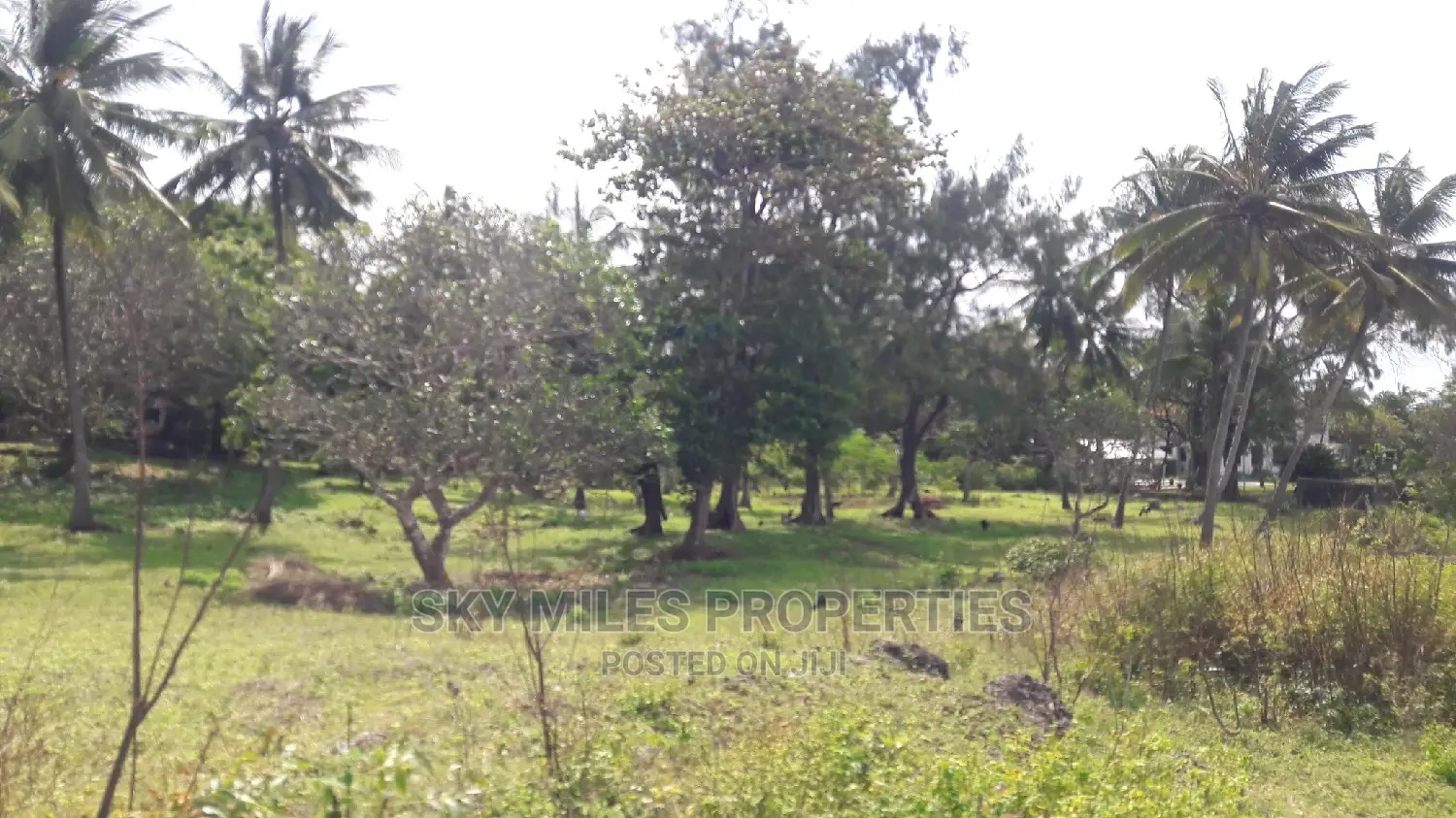 A Parcel of 4.5 Acres Beach Plot on Sale