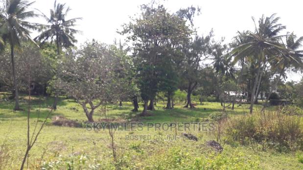 A Parcel of 4.5 Acres Beach Plot on Sale - thumbnail 12