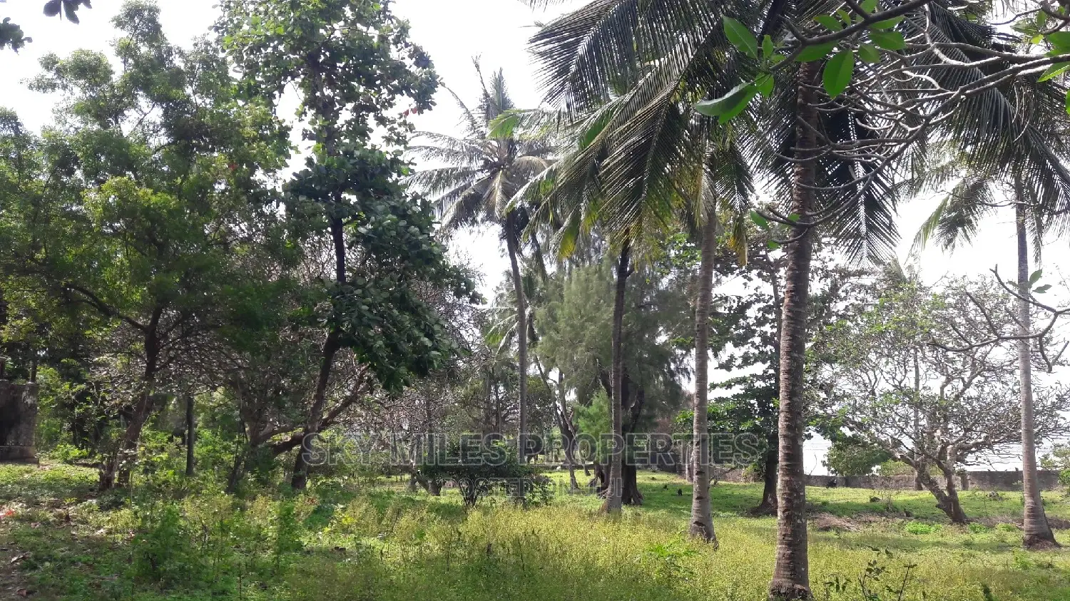 A Parcel of 4.5 Acres Beach Plot on Sale