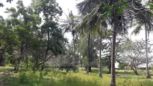 A Parcel of 4.5 Acres Beach Plot on Sale