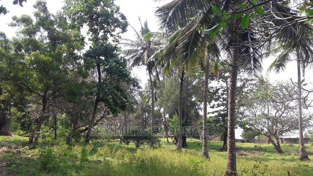 A Parcel of 4.5 Acres Beach Plot on Sale - thumbnail 5