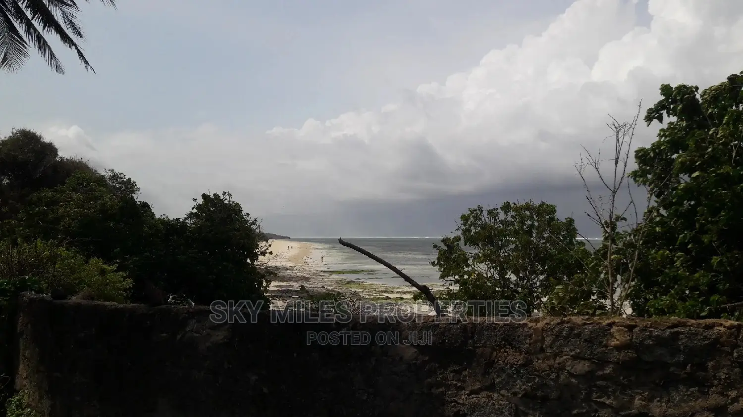 A Parcel of 4.5 Acres Beach Plot on Sale