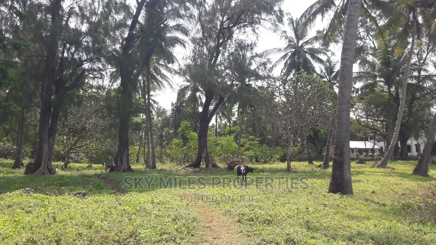 A Parcel of 4.5 Acres Beach Plot on Sale