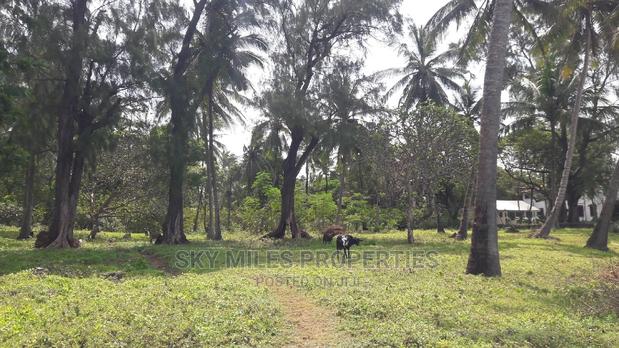 A Parcel of 4.5 Acres Beach Plot on Sale - thumbnail 13