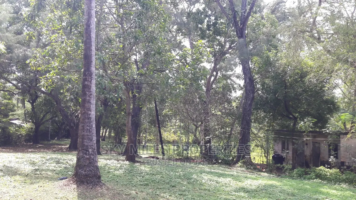 A Parcel of 4.5 Acres Beach Plot on Sale
