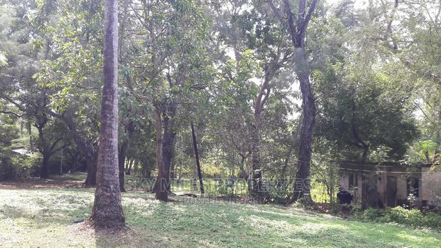 A Parcel of 4.5 Acres Beach Plot on Sale - thumbnail 16