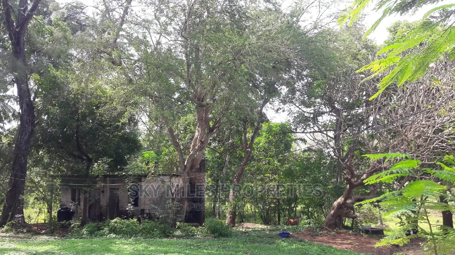 A Parcel of 4.5 Acres Beach Plot on Sale