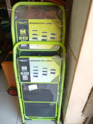 Prescott Steel Ladder
