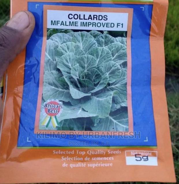 Seeds : Vegetables / Herbs / Fodder / Grains / Lawns. - thumbnail 2