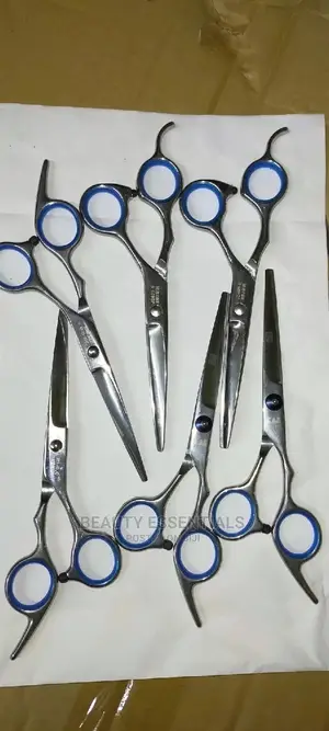 Professionals Cutting Scissors