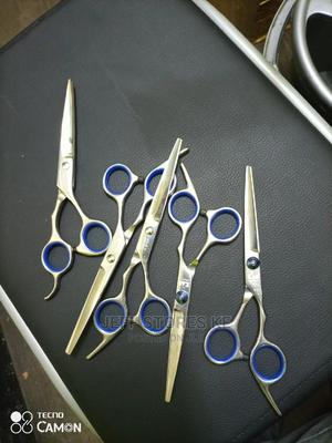 Professional Scissors - main view
