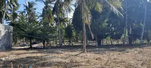 Mtwapa Creek Plots on Sale