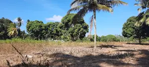 Mtwapa Creek Plots on Sale