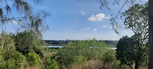 6 Acres Facing Creek Beach Mtwapa on Sale