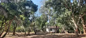 6 Acres Facing Creek Beach Mtwapa on Sale