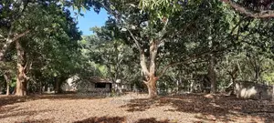 6 Acres Facing Creek Beach Mtwapa on Sale