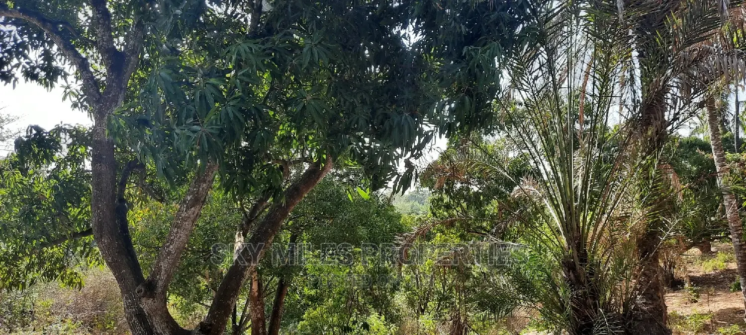 6 Acres Facing Creek Beach Mtwapa on Sale