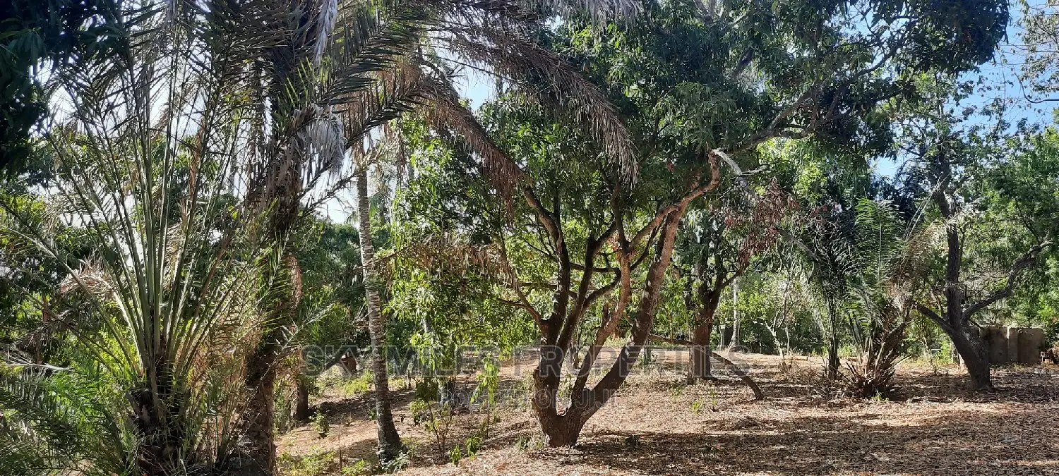 6 Acres Facing Creek Beach Mtwapa on Sale