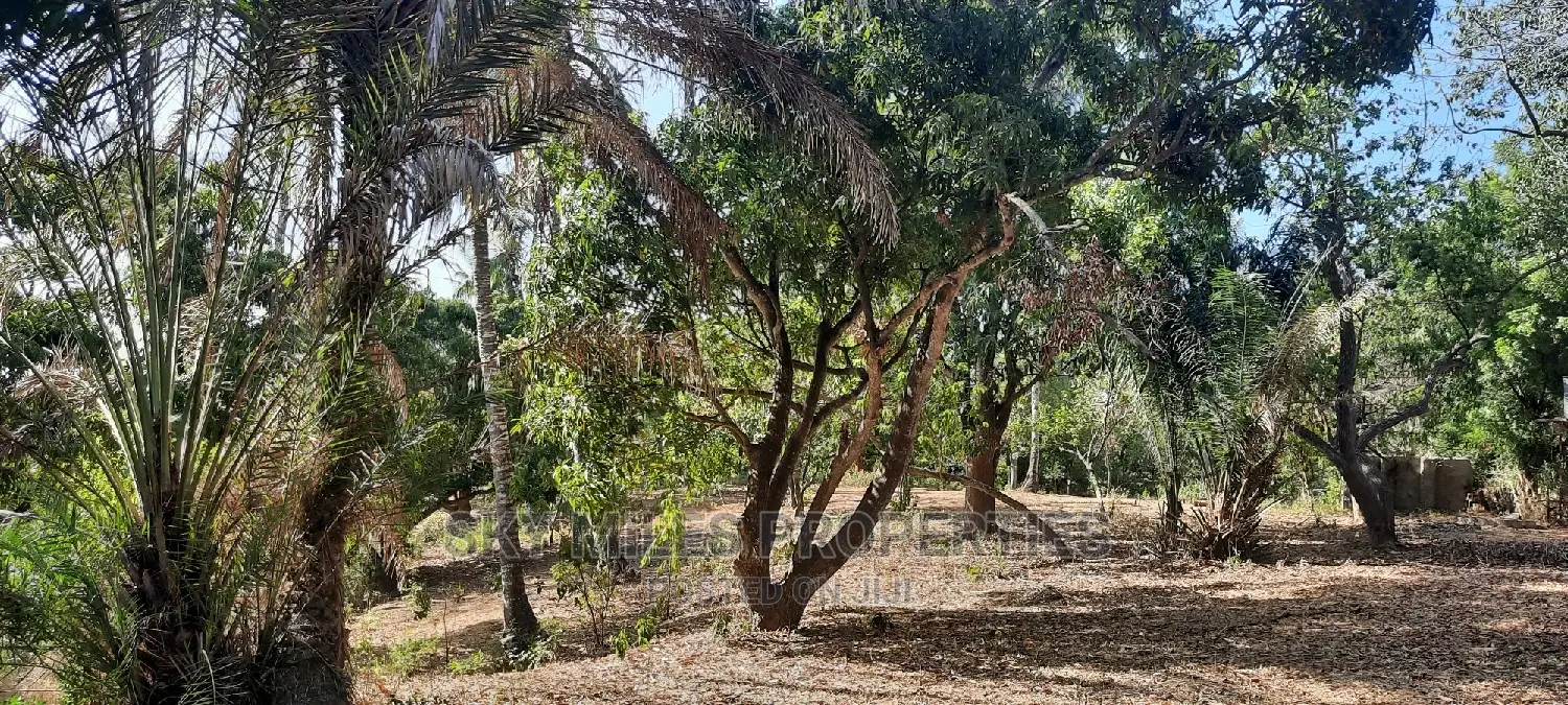 6 Acres Facing Creek Beach Mtwapa on Sale