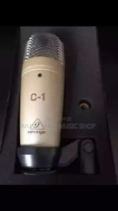 Behringer C1