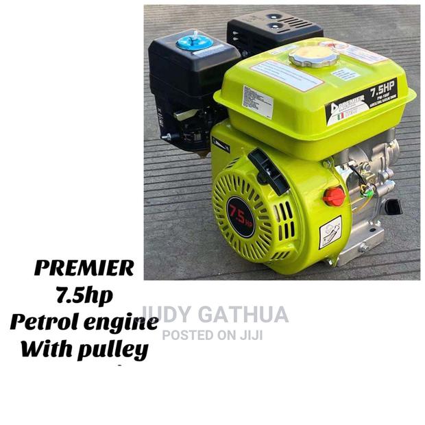 Premier 7.5 HP Petrol Engine With Pulley - main view