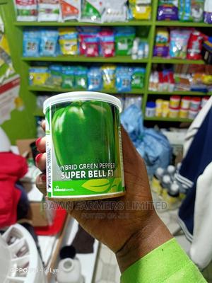 Superbell F1 - main view