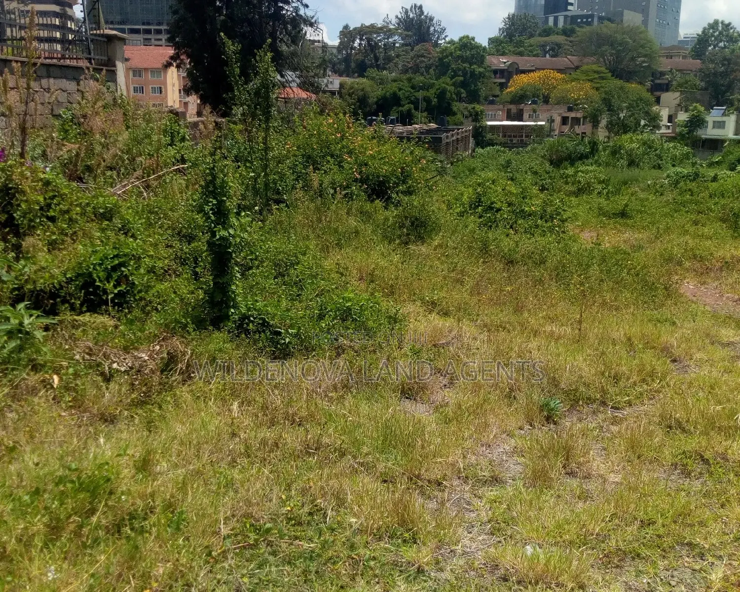 Land on Sale Westland Nairobi
