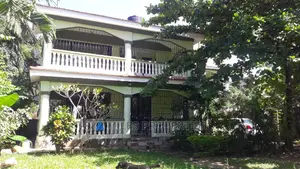 Mansion on Sale.