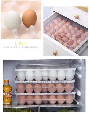 Eggs Storage Containers 30pcs