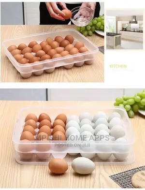 Eggs Storage Containers 30pcs