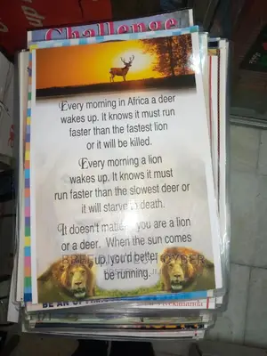 A3 Lamination