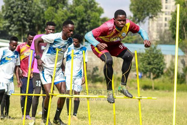 Slalome Poles - thumbnail 2