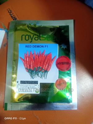 Red Demon F1 - main view