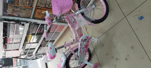 Luta Size 16 Girl Bike