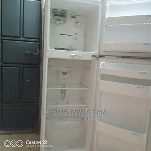 Fridge and Freezer Repair and Maintanance