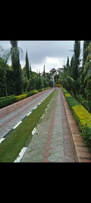 Landscaping and Gardening Services