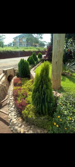 Landscaping and Gardening Services