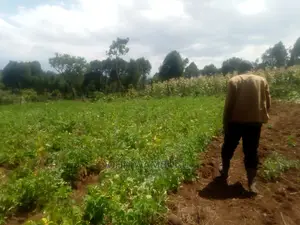 14acres of Land Olkalau Town
