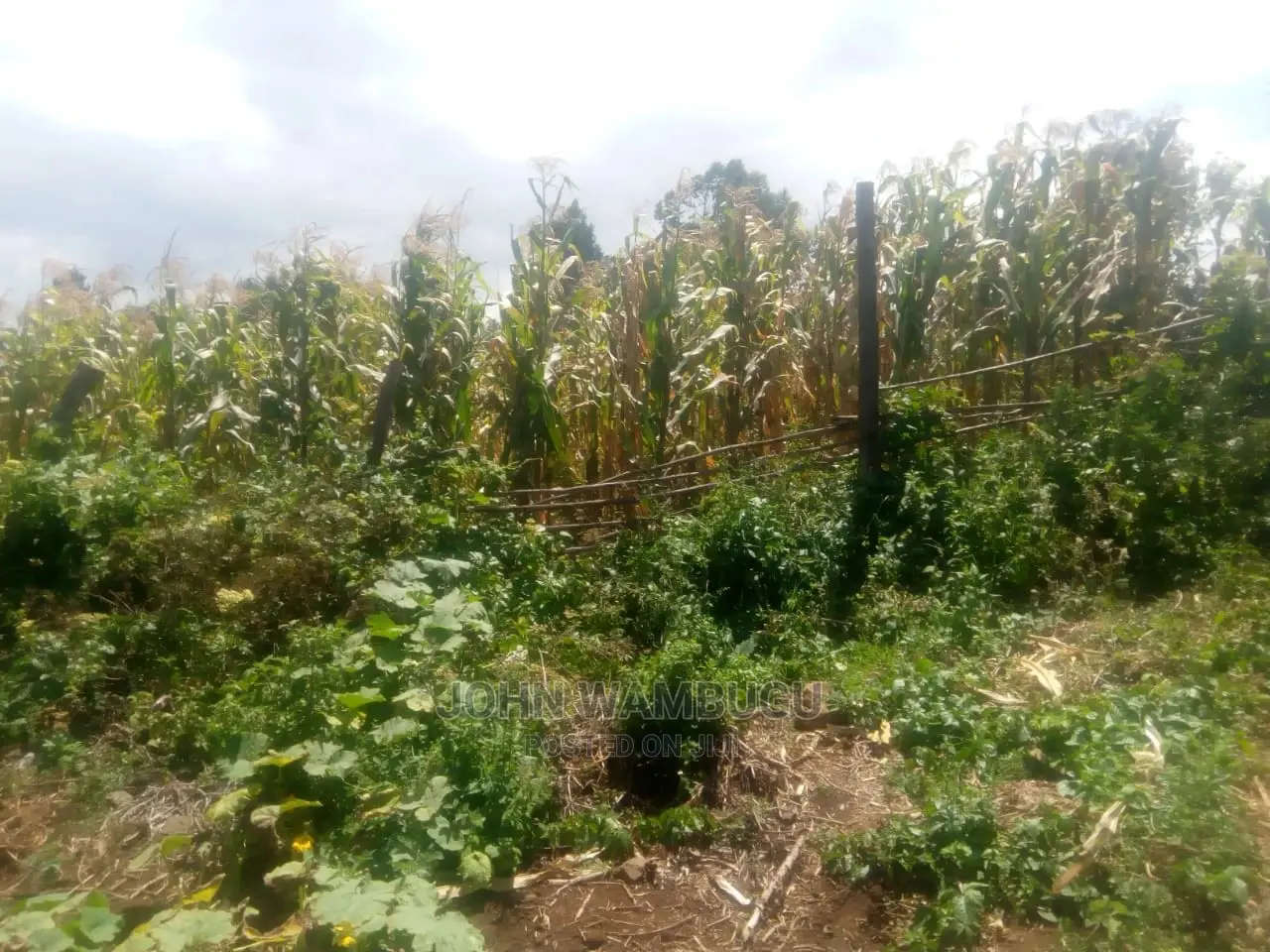 14acres of Land Olkalau Town