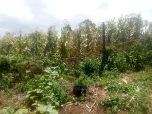 14acres of Land Olkalau Town
