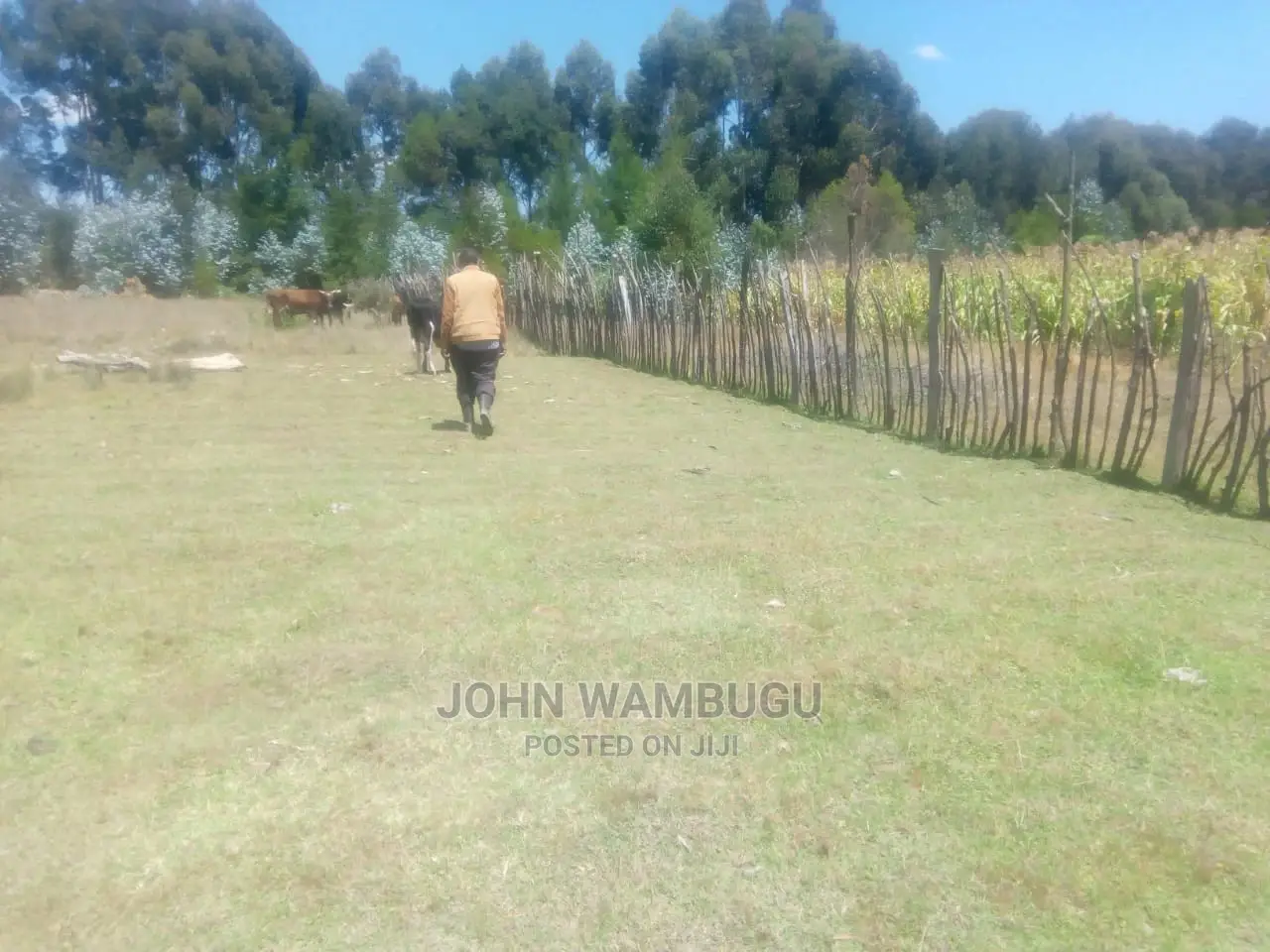 14acres of Land Olkalau Town