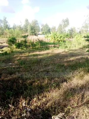40 by 80 Plot for Sale at Kabati