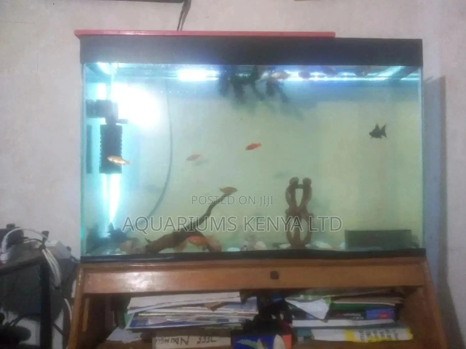 Aquarium,Customize Aquariums