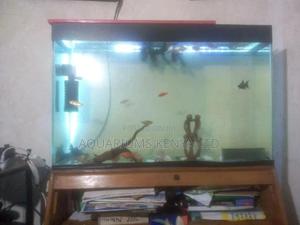 Aquarium,Customize Aquariums - thumbnail 2
