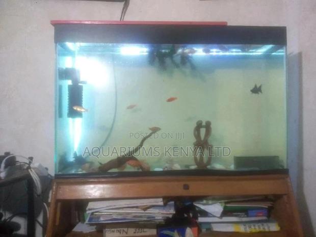Aquarium,Customize Aquariums - main view