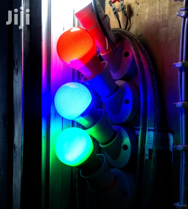 Coloured Bulbs - thumbnail 2