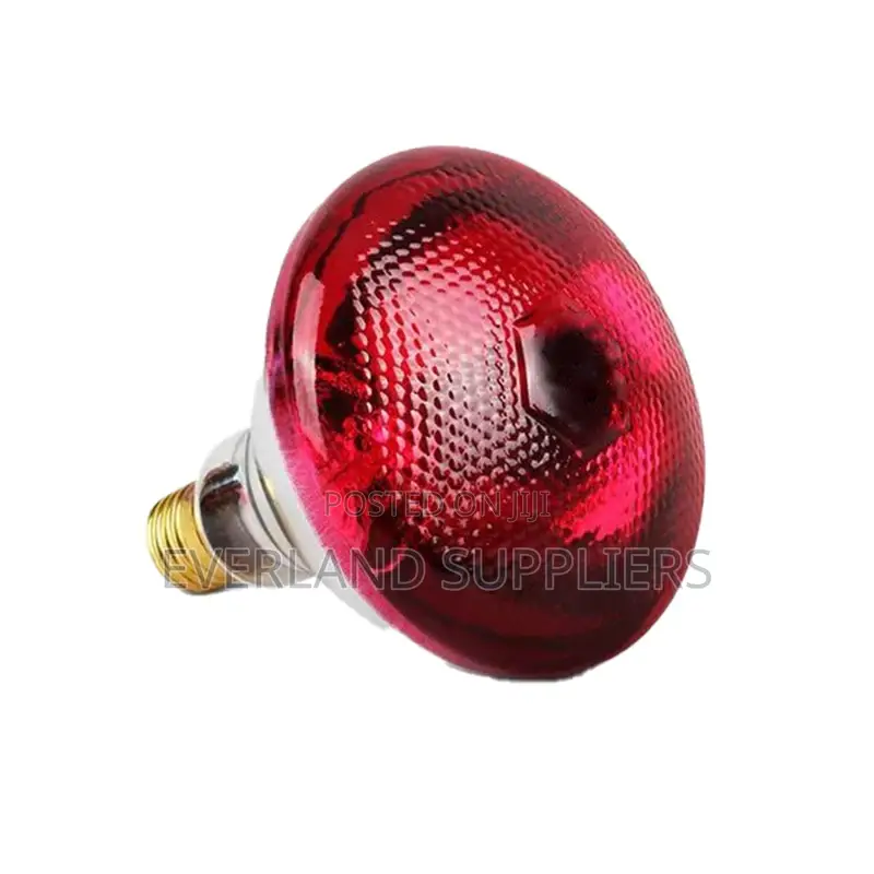 Infrared Bulbs For Poultry Brooding