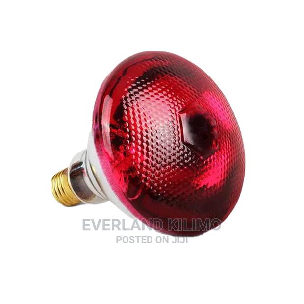 Infrared Bulbs For Poultry Brooding