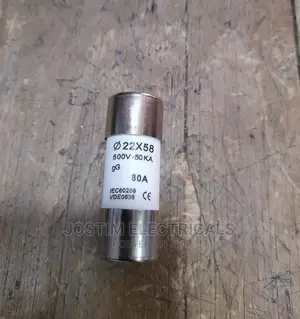 100A Cut Out Fuse